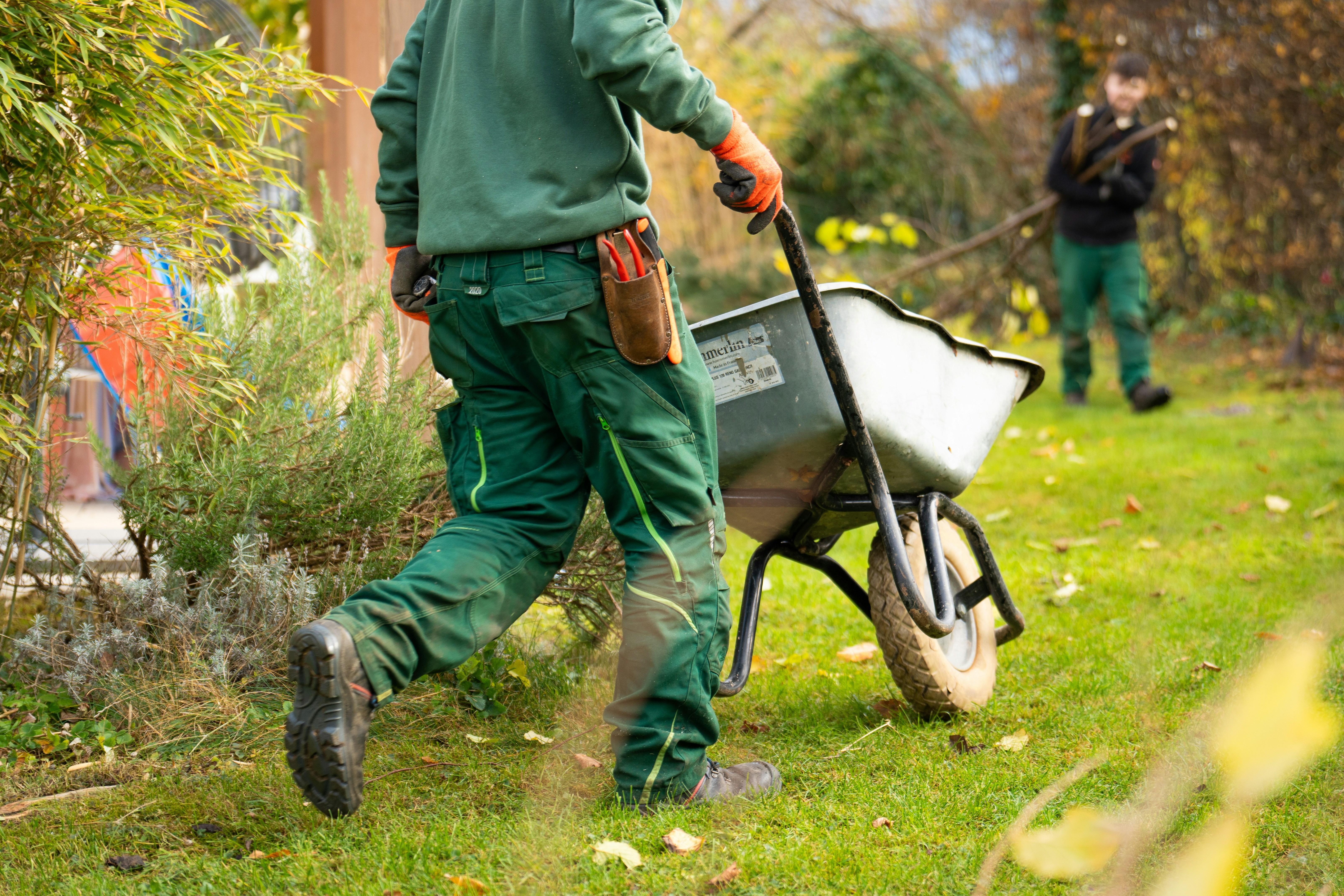Buying a Landscaping Business: What to Know Before You Acquire