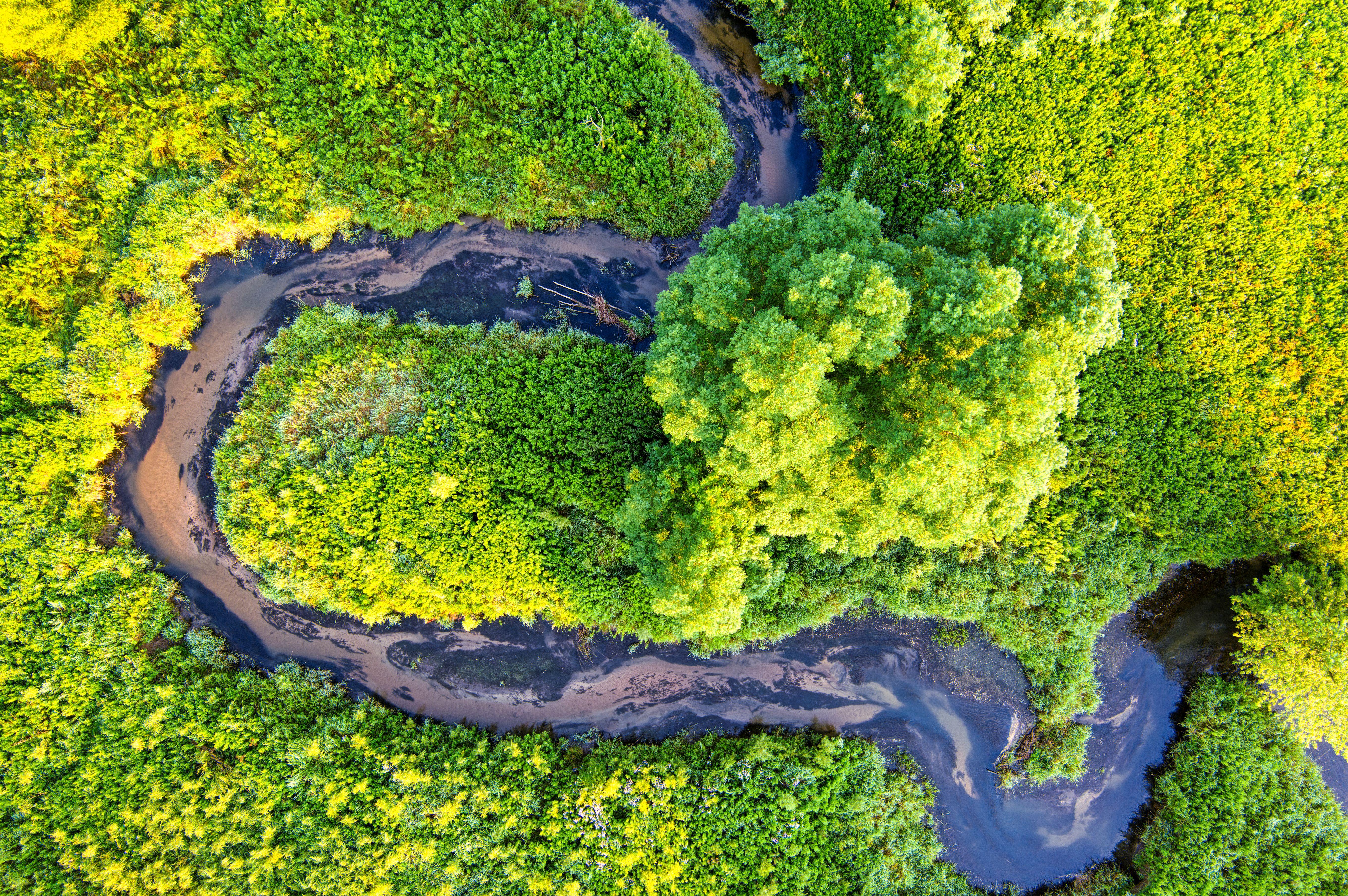 Buying an Environmental Consulting Firm: What to Know Before You Acquire